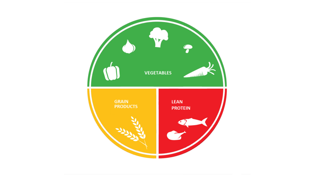 healthy eating plate