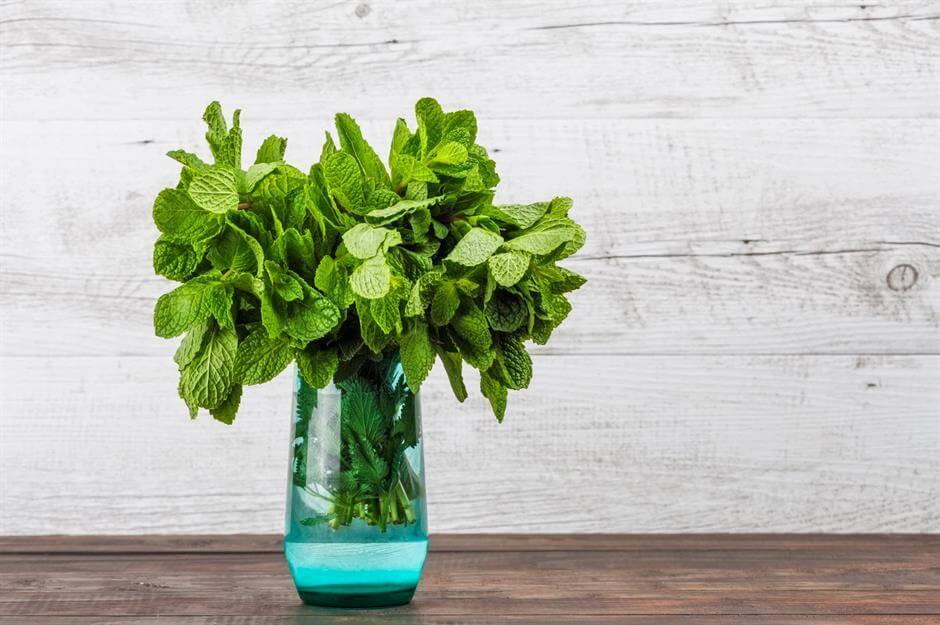 Food Hack 1 - Store Herbs Like Flowers