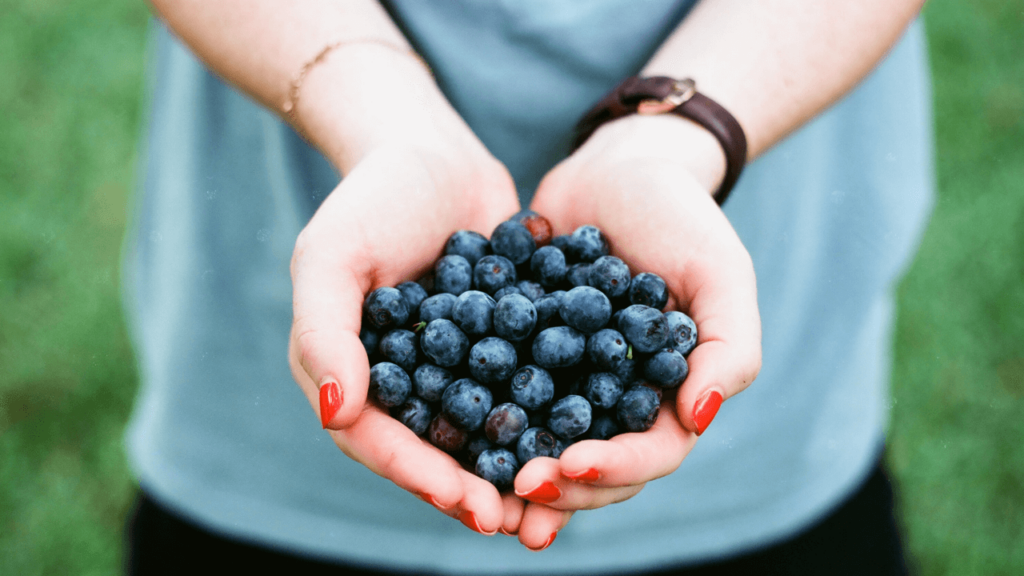 Blueberries are Perfect for Cholesterol Patients