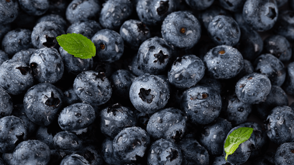 Blueberries Boost Brain Health and Improve Memory Power