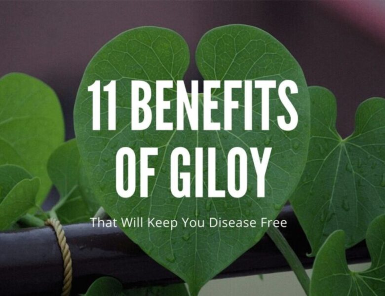 11 Benefits of Giloy That Will Keep You Disease Free