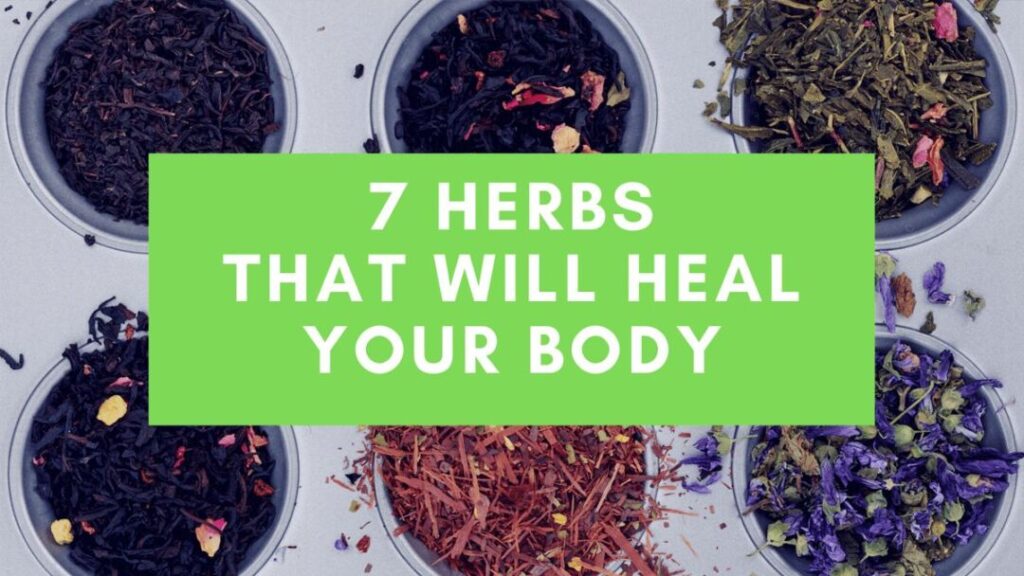 Herbs That Will Heal Your Body