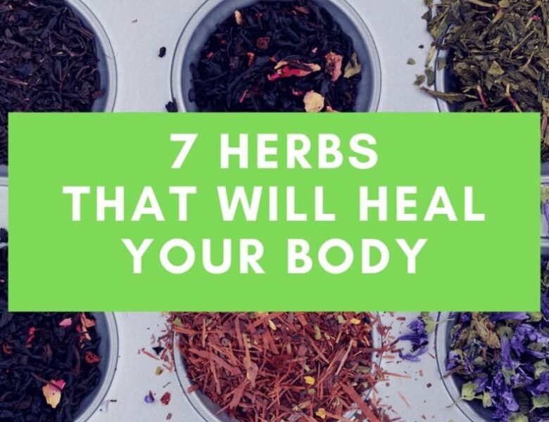 7 Herbs That Will Heal Your Body