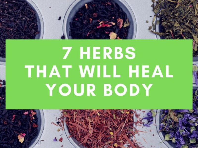 7 Herbs That Will Heal Your Body