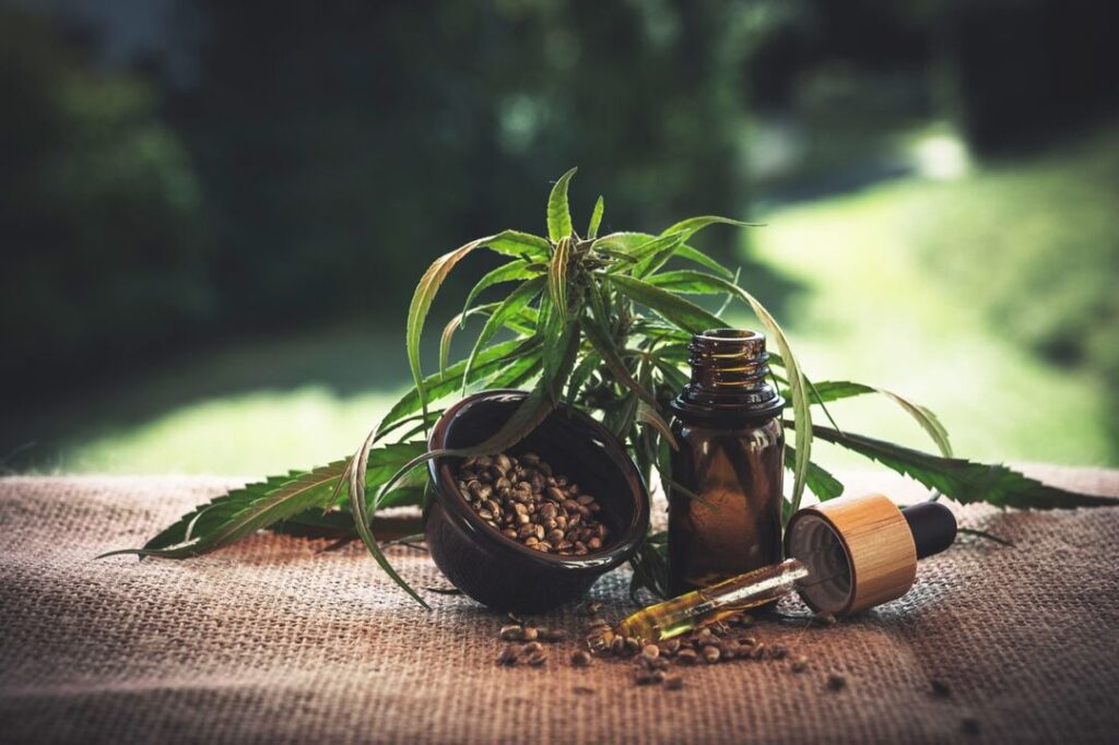 how to incorporate cbd in your wellness routine